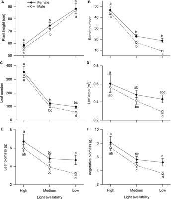 Light Availability and Patterns of Allocation to Reproductive and Vegetative Biomass in the Sexes of the Dioecious Macrophyte Vallisneria spinulosa